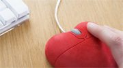Niche Dating Sites