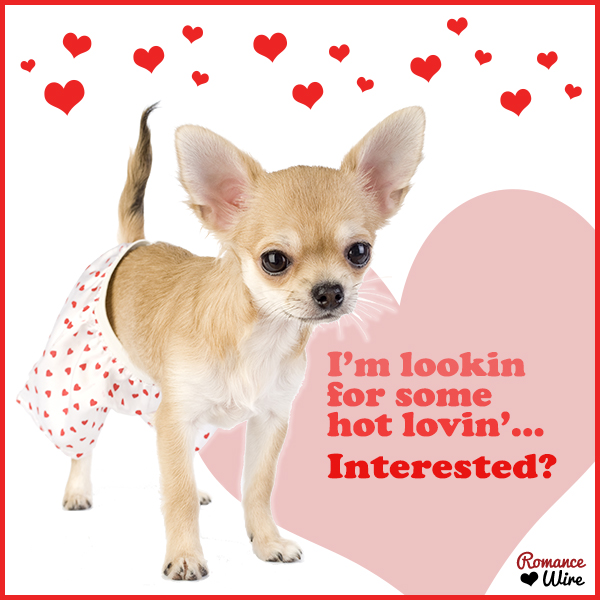 Hot Lovin eCard