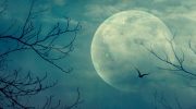 20 Romantic Halloween Ideas